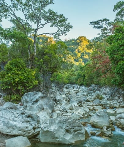 Timor-Leste: Creek, Outdoors, Stream, Water, Rock, Flora, Forest, Land, Nature, Plant, Rainforest, Tree, Vegetation, Cliff, River, Waterfall, Jungle