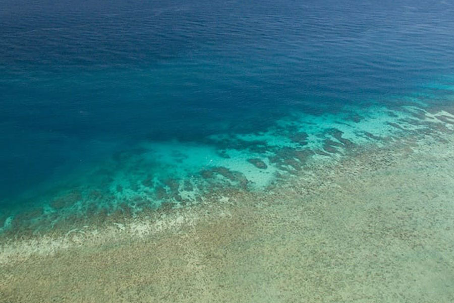 Timor-Leste: Outdoors, Land, Nature, Water, Sea, Ocean, Shoreline, Coast, Beach, Sea Life, Reef, Animal, Island, Coral Reef